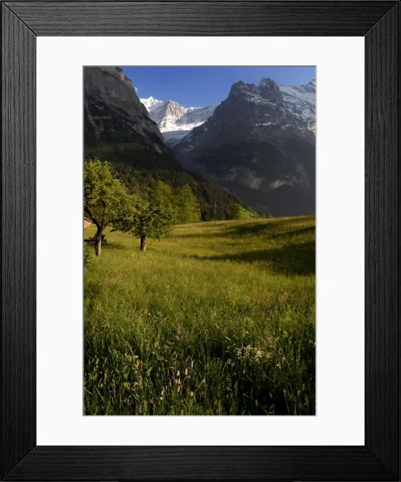 Framed Print : Meadows and mountains Framed Print : Meadows and mountains