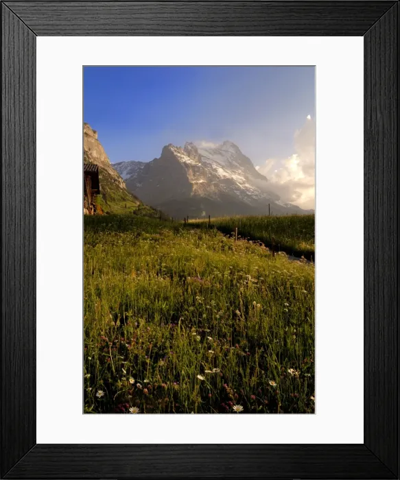 Framed Print : Spring alpine flower meadow and mountains Framed Print : Spring alpine flower meadow and mountains