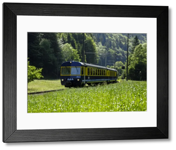 Framed Print : Mountain train Framed Print : Mountain train