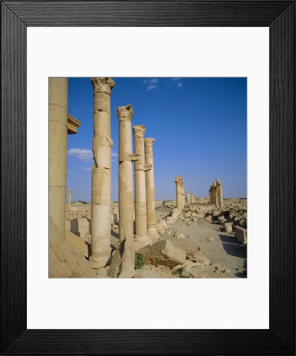 Framed Print : Columned main street Framed Print : Columned main street