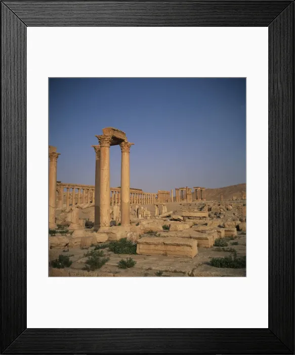 Framed Print : The Roman Baths of Diocletian dating from the 3rd century AD Framed Print : The Roman Baths of Diocletian dating from the 3rd century AD