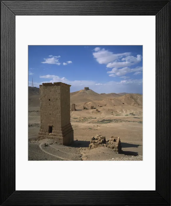 Framed Print : View over the Palmyrene Tower Tombs Framed Print : View over the Palmyrene Tower Tombs