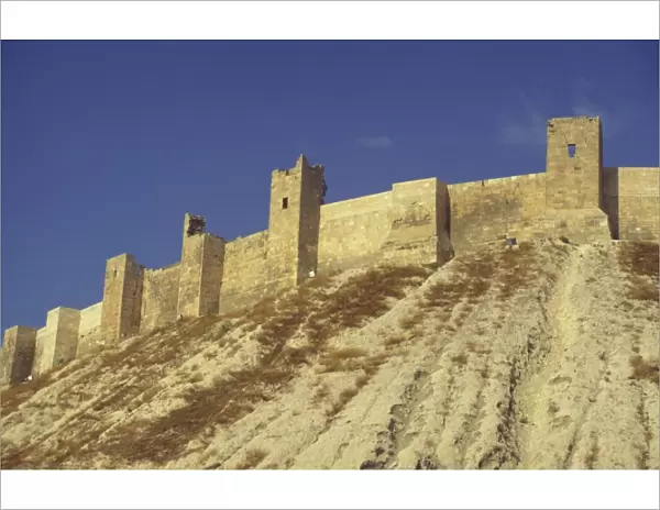 Walls of The Citadel