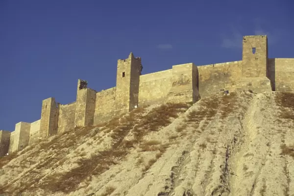 Walls of The Citadel