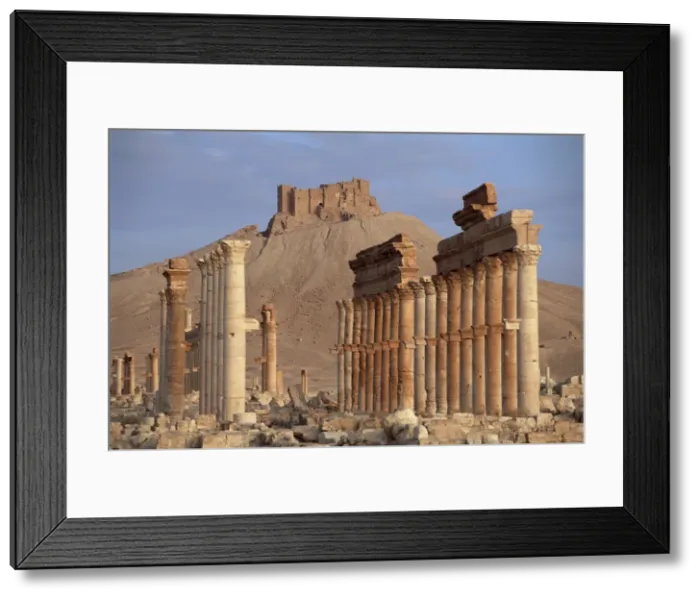 Framed Print : The Great Colonnade Framed Print : The Great Colonnade