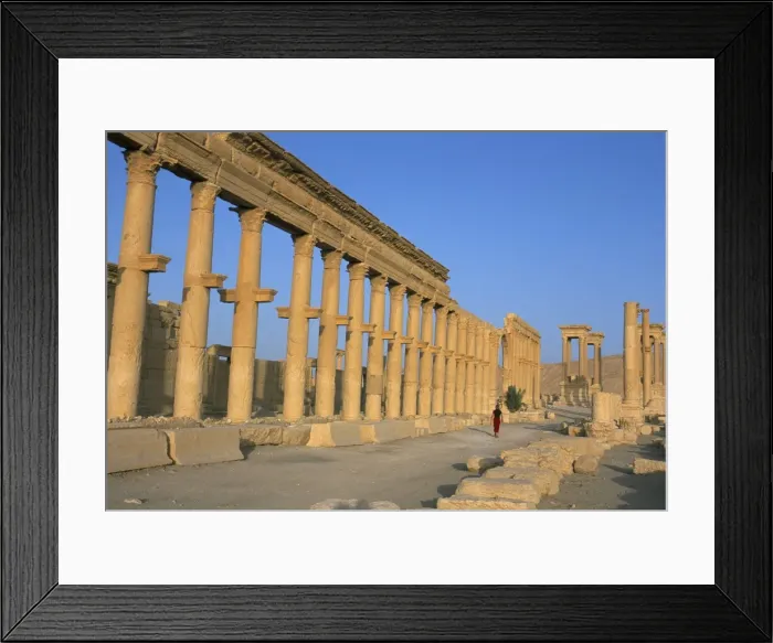 Framed Print : Ruins of the colonnade Framed Print : Ruins of the colonnade