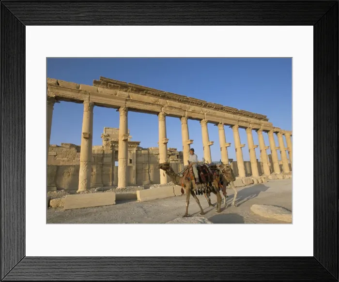 Framed Print : Boy on camel in front of the great colonnade Framed Print : Boy on camel in front of the great colonnade