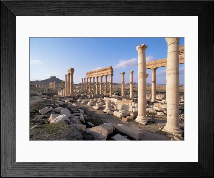 Framed Print : Great colonnade and the Arab castle beyond Framed Print : Great colonnade and the Arab castle beyond