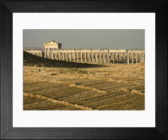 Framed Print : Archaelogical site Framed Print : Archaelogical site