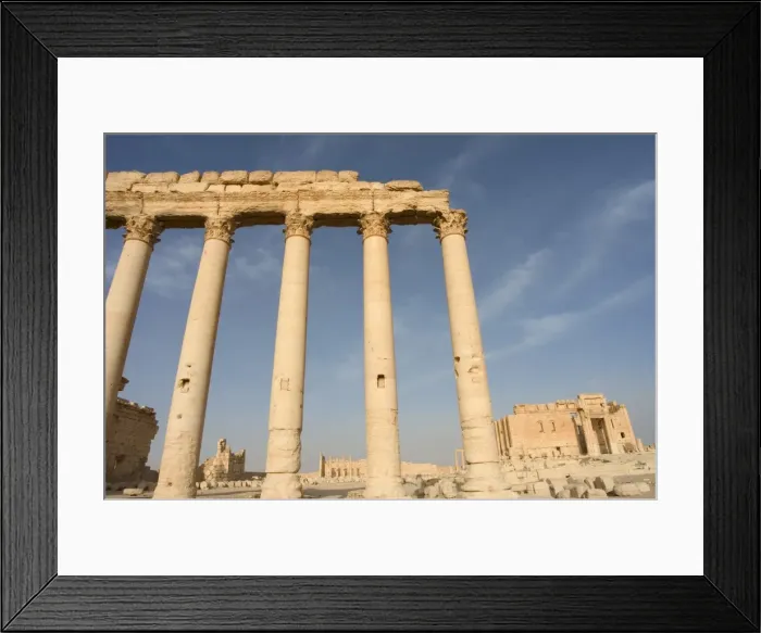 Framed Print : Temple of Bel Framed Print : Temple of Bel