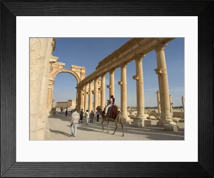 Framed Print : Tourist camel ride Framed Print : Tourist camel ride