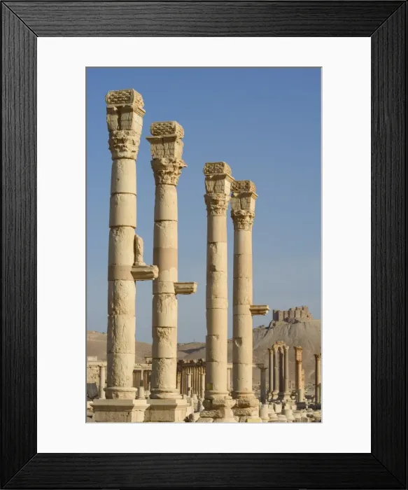 Framed Print : Archaeological ruins Framed Print : Archaeological ruins