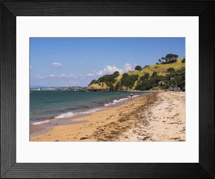 Framed Print : Cheltenham Beach, Devenport, Auckland, North Island, New Zealand, Pacific Framed Print : Cheltenham Beach, Devenport, Auckland, North Island, New Zealand, Pacific