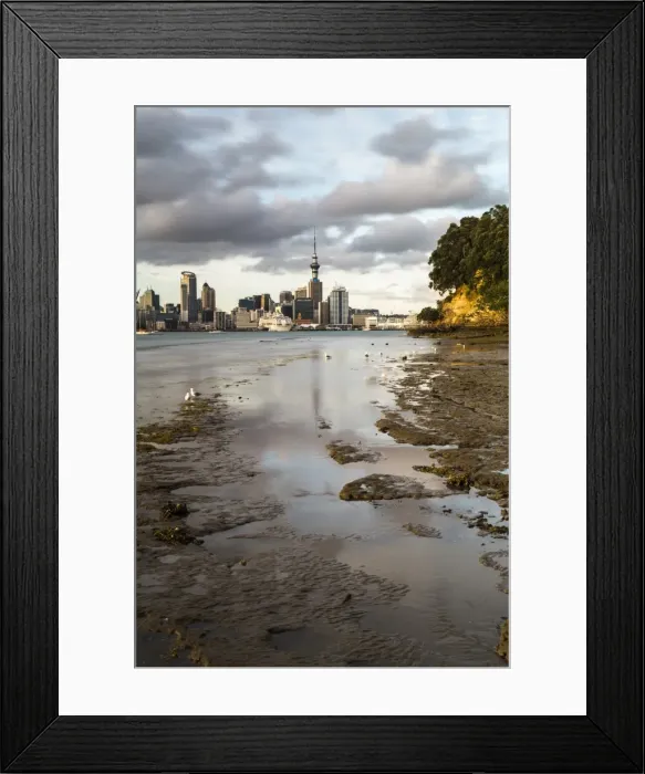 Framed Print : Auckland skyline seen across the harbour from Bayswater, Auckland, North Island, New Zealand Framed Print : Auckland skyline seen across the harbour from Bayswater, Auckland, North Island, New Zealand