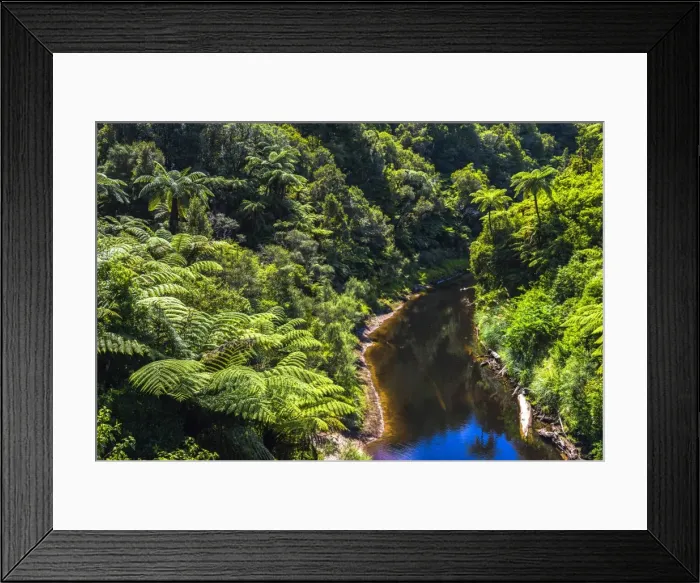 Framed Print : Tropical rainforest scenery on State Highway 43 (Forgotten World Highway), Taranaki Region Framed Print : Tropical rainforest scenery on State Highway 43 (Forgotten World Highway), Taranaki Region