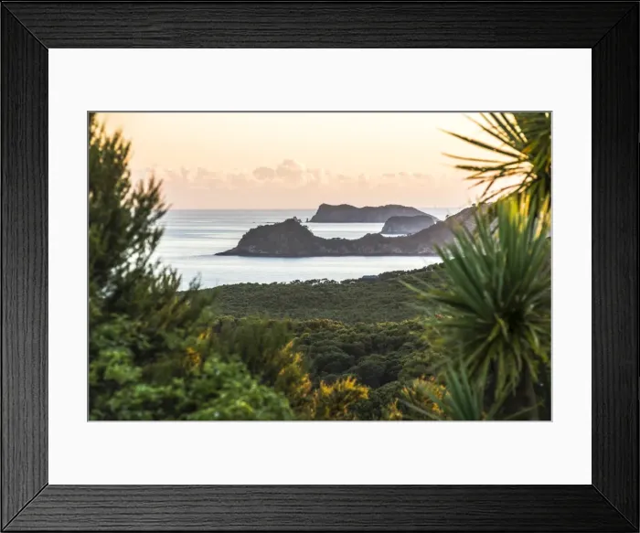 Framed Print : Bay of Islands coastline at sunrise, seen from Russell, Northland Region, North Island Framed Print : Bay of Islands coastline at sunrise, seen from Russell, Northland Region, North Island