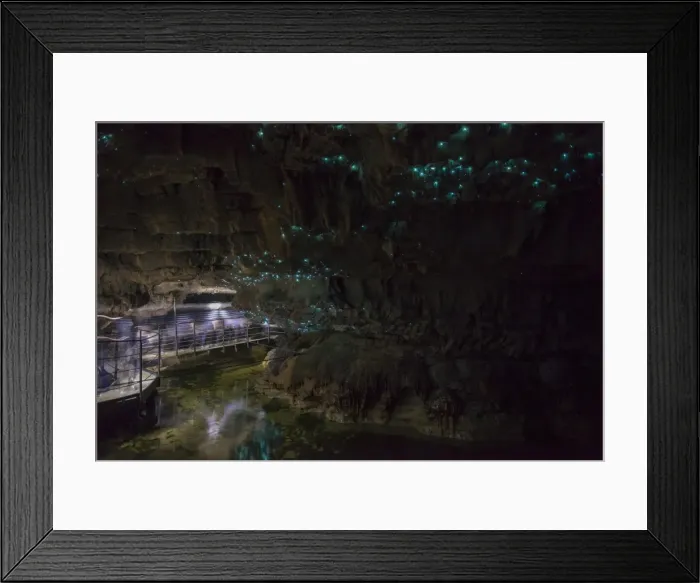 Framed Print : Glow worms in Waitomo Caves, Waikato Region, North Island, New Zealand, Pacific Framed Print : Glow worms in Waitomo Caves, Waikato Region, North Island, New Zealand, Pacific