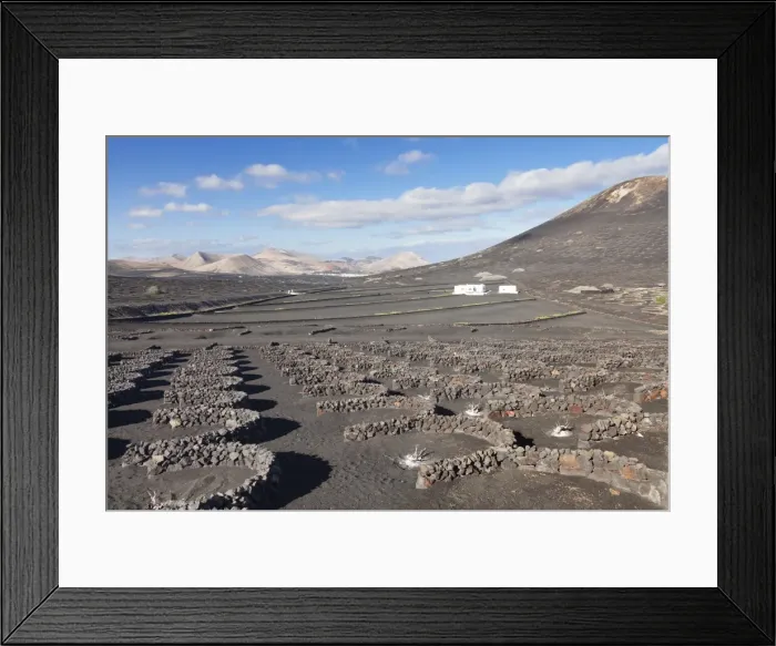 Framed Print : Wine growing district La Geria, Lanzarote, Canary Islands, Spain, Atlantic, Europe Framed Print : Wine growing district La Geria, Lanzarote, Canary Islands, Spain, Atlantic, Europe