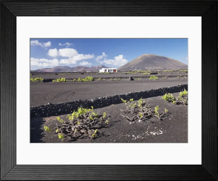 Framed Print : Finca, wine growing district La Geria, Lanzarote, Canary Islands, Spain, Atlantic, Europe Framed Print : Finca, wine growing district La Geria, Lanzarote, Canary Islands, Spain, Atlantic, Europe