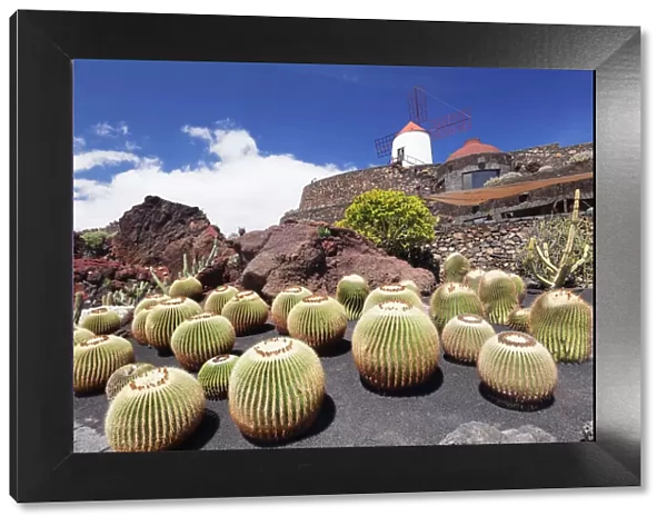 Cactus garden Jardin de Cactus by Cesar Manrique, wind mill, UNESCO Biosphere Reserve