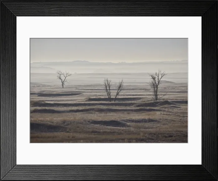 Framed Print : Three bare trees on a hazy morning, Badlands National Park, South Dakota, United States of America Framed Print : Three bare trees on a hazy morning, Badlands National Park, South Dakota, United States of America