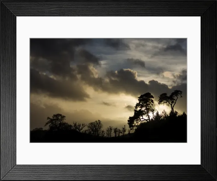Framed Print : Ashton Court, Bristol, England, United Kingdom, Europe Framed Print : Ashton Court, Bristol, England, United Kingdom, Europe