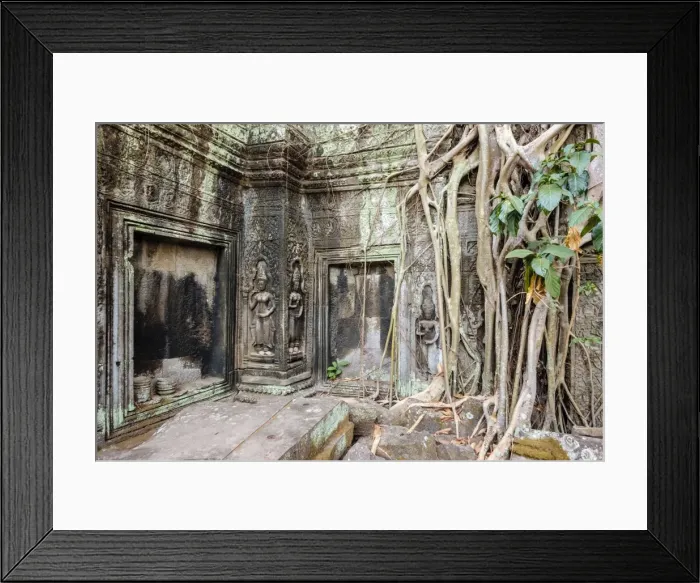 Framed Print : Tree roots growing on Ta Prohm temple (Rajavihara) ruins, Angkor, UNESCO World Heritage Site Framed Print : Tree roots growing on Ta Prohm temple (Rajavihara) ruins, Angkor, UNESCO World Heritage Site