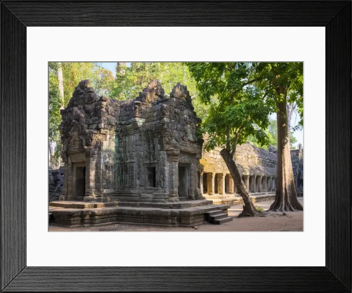 Framed Print : Ta Prohm temple (Rajavihara), Angkor, UNESCO World Heritage Site, Siem Reap Province Framed Print : Ta Prohm temple (Rajavihara), Angkor, UNESCO World Heritage Site, Siem Reap Province