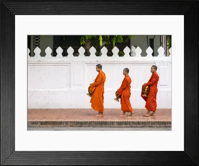 Framed Print : Buddhist novice monks line up to receive alms (Tak Bat) at dawn, Luang Prabang, Louangphabang Framed Print : Buddhist novice monks line up to receive alms (Tak Bat) at dawn, Luang Prabang, Louangphabang