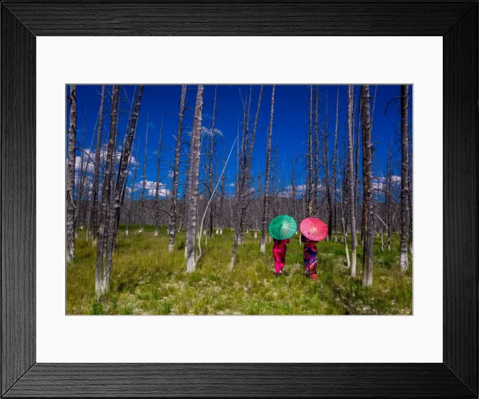 Framed Print : Two girls with parasols in Burnt Forest, Yellowstone National Park, Wyoming, United Framed Print : Two girls with parasols in Burnt Forest, Yellowstone National Park, Wyoming, United