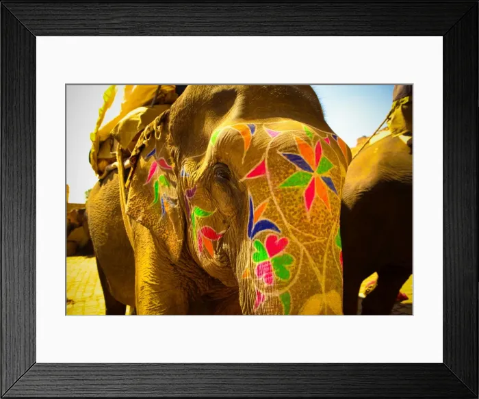 Framed Print : Painted elephant, Amer Fort, Jaipur, India, Asia Framed Print : Painted elephant, Amer Fort, Jaipur, India, Asia