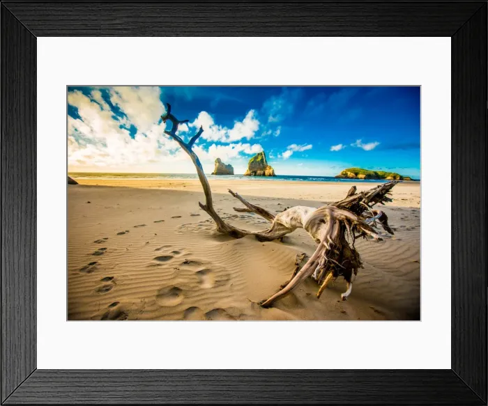 Framed Print : Driftwood in Golden Bay, Tasman Region, South Island, New Zealand, Pacific Framed Print : Driftwood in Golden Bay, Tasman Region, South Island, New Zealand, Pacific