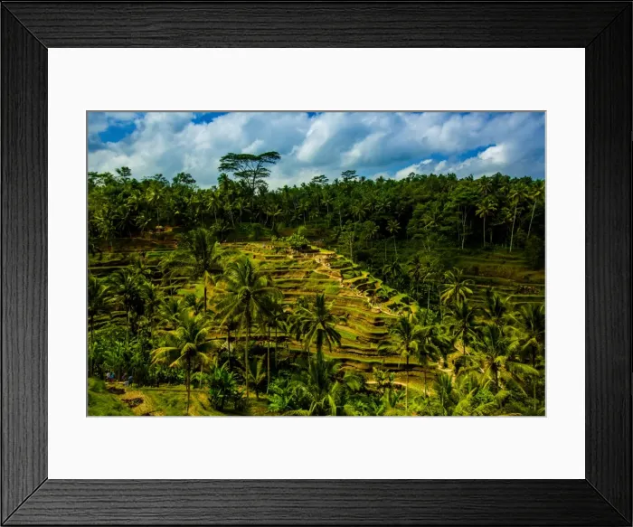Framed Print : Tegalalang Terraced Rice Paddy, Bali, Indonesia, Southeast Asia, Asia Framed Print : Tegalalang Terraced Rice Paddy, Bali, Indonesia, Southeast Asia, Asia