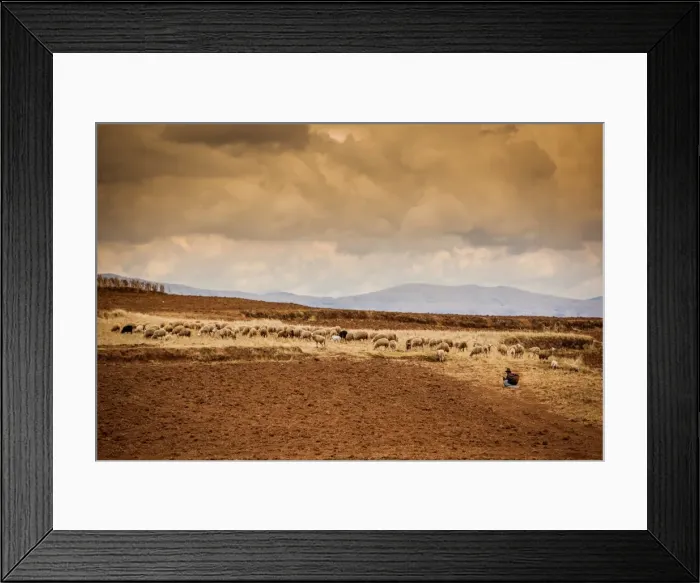 Framed Print : Farmer and her sheep, Sacred Valley, Cusco, Peru, South America