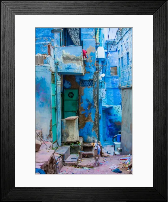 Framed Print : Street scene of the Blue Houses, Jodhpur, the Blue City, Rajasthan, India, Asia Framed Print : Street scene of the Blue Houses, Jodhpur, the Blue City, Rajasthan, India, Asia