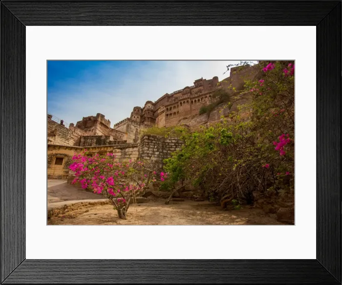 Framed Print : The inner wall of Mehrangarh Fort in Jodhpur, the Blue City, Rajasthan, India, Asia Framed Print : The inner wall of Mehrangarh Fort in Jodhpur, the Blue City, Rajasthan, India, Asia