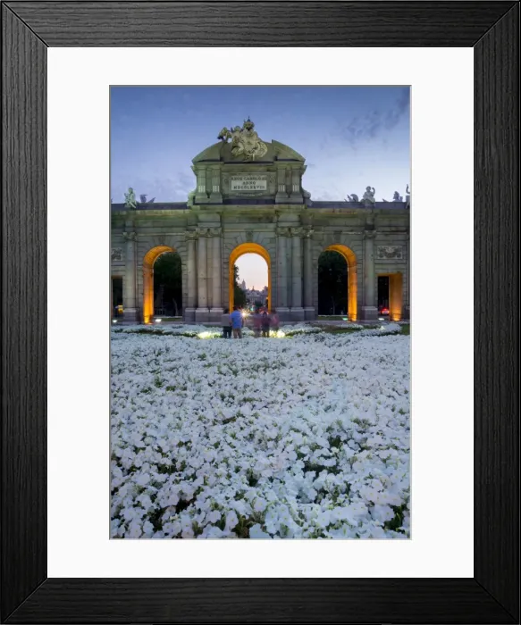 Framed Print : Puerto de Alcala at dusk and white flowerbed, Madrid, Spain, Europe Framed Print : Puerto de Alcala at dusk and white flowerbed, Madrid, Spain, Europe