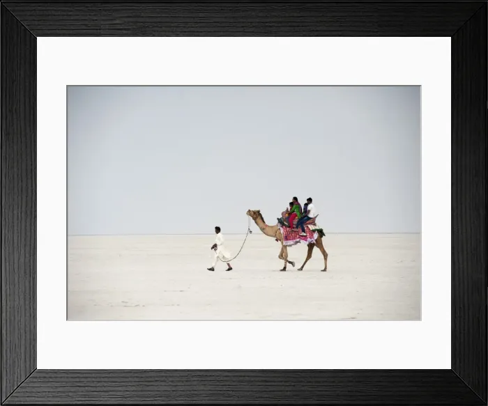 Framed Print : Indian family enjoying a camel ride in the white desert, a seasonal salt marsh in Framed Print : Indian family enjoying a camel ride in the white desert, a seasonal salt marsh in