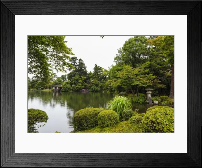 Framed Print : Rain drops fall on Kasumigaike Pond in summer, Kenrokuen, one of Japans three most Framed Print : Rain drops fall on Kasumigaike Pond in summer, Kenrokuen, one of Japans three most