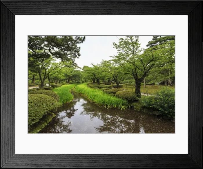 Framed Print : Stream with lush greenery and reflections, Kenrokuen, one of Japans most beautiful Framed Print : Stream with lush greenery and reflections, Kenrokuen, one of Japans most beautiful