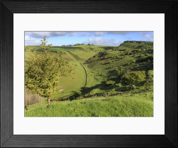 Framed Print : Cressbrook Dale National Nature Reserve in spring, elevated view, Peak District National Park Framed Print : Cressbrook Dale National Nature Reserve in spring, elevated view, Peak District National Park