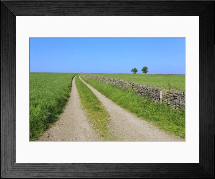 Framed Print : Track disappears into distance, grass, two trees and dry stone walls, typical country scene Framed Print : Track disappears into distance, grass, two trees and dry stone walls, typical country scene