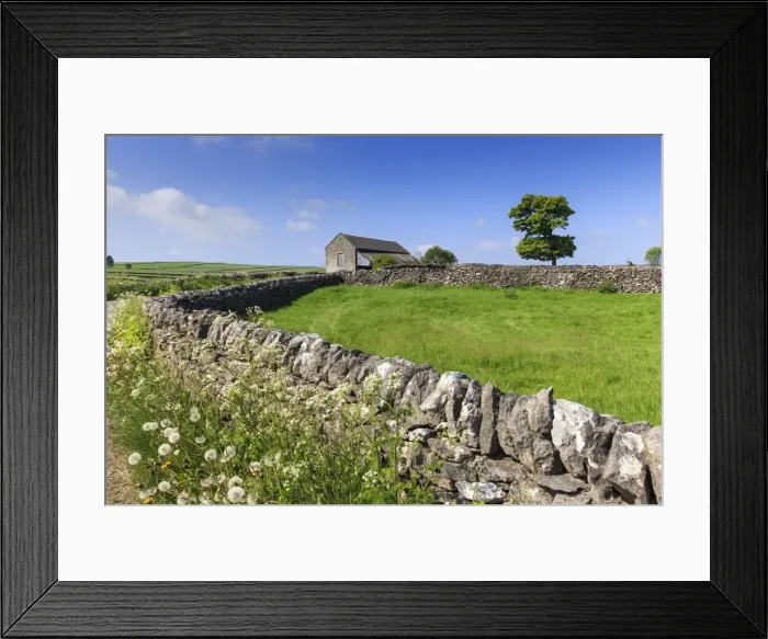 Framed Print : Typical spring landscape of country lane, dry stone walls, tree and barn, May, Litton Framed Print : Typical spring landscape of country lane, dry stone walls, tree and barn, May, Litton