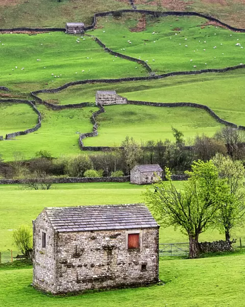 Hay barns, Muker, Swaledale, Yorkshire Dales, Yorkshire, England, United Kingdom, Europe