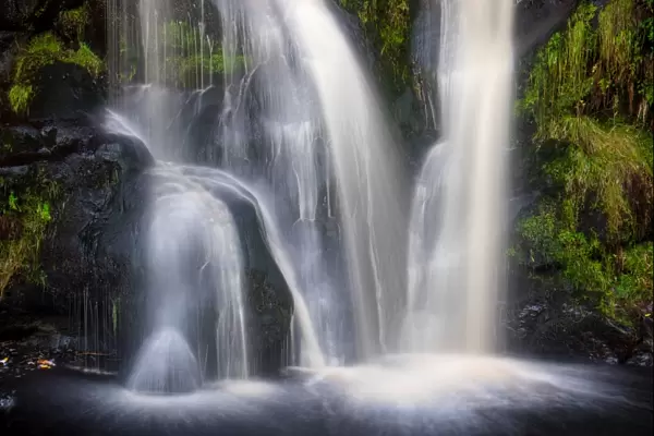 Posforth Gill Waterfall, Bolton Abbey, Yorkshire Dales, Yorkshire, England, United Kingdom