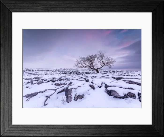 Framed Print : Twistleton Scar End in snow, Ingleton, Yorkshire Dales, Yorkshire, England, United Kingdom Framed Print : Twistleton Scar End in snow, Ingleton, Yorkshire Dales, Yorkshire, England, United Kingdom