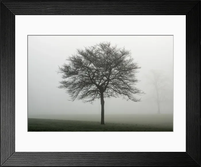 Framed Print : Misty dawn, Victoria Park, Bristol, England, United Kingdom, Europe Framed Print : Misty dawn, Victoria Park, Bristol, England, United Kingdom, Europe