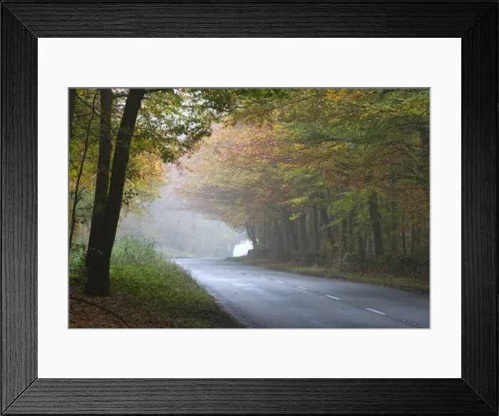 Framed Print : Road running through foggy autumnal woodland, near Stow-on-the-Wold, Cotswolds, Gloucestershire Framed Print : Road running through foggy autumnal woodland, near Stow-on-the-Wold, Cotswolds, Gloucestershire