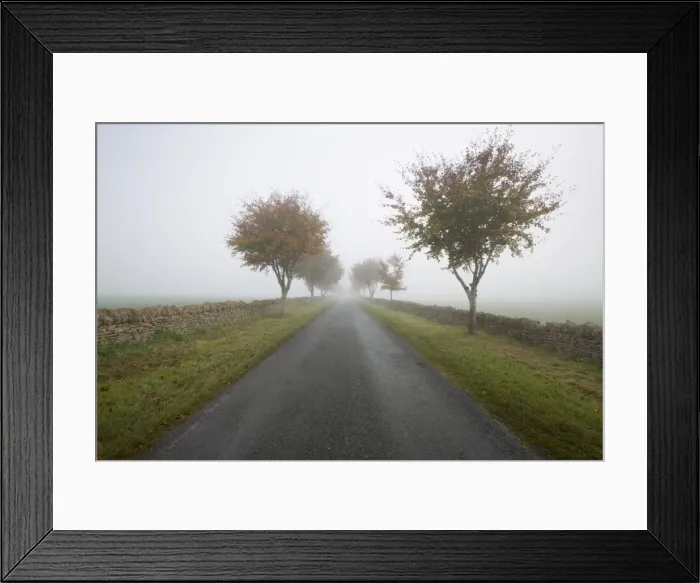 Framed Print : Empty tree lined road in fog, Yanworth, Gloucestershire, England, United Kingdom, Europe Framed Print : Empty tree lined road in fog, Yanworth, Gloucestershire, England, United Kingdom, Europe