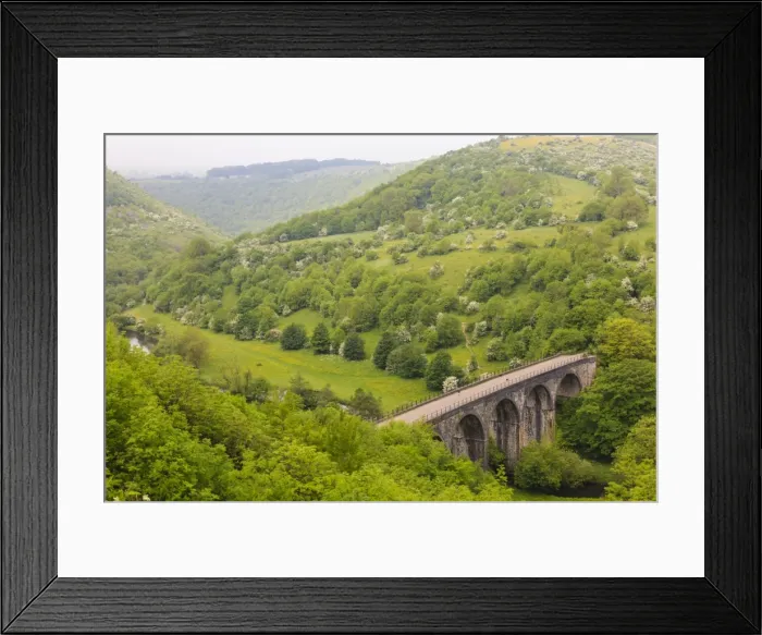 Framed Print : Monsal Trail viaduct, Monsal Head, Monsal Dale, former rail line, trees in full leaf in summer Framed Print : Monsal Trail viaduct, Monsal Head, Monsal Dale, former rail line, trees in full leaf in summer
